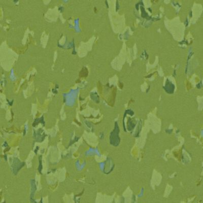 K835A-527 Brilliant Green