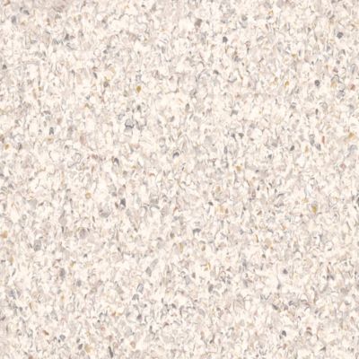 5A503011 White Lily