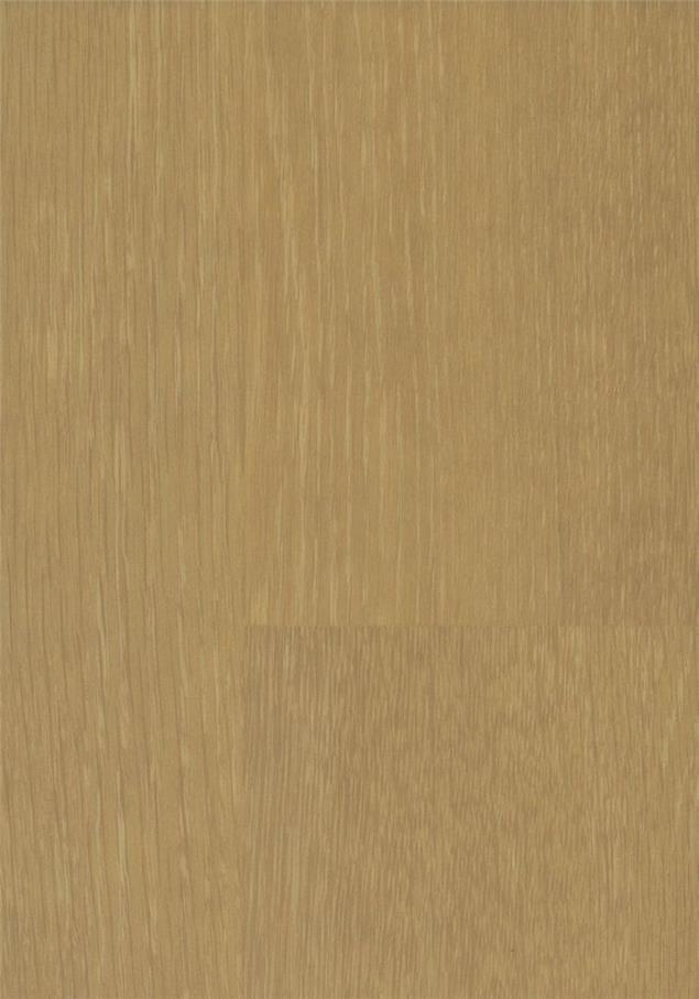 K6232-14 影木