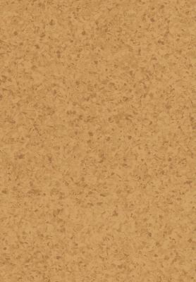 V825-319 软木黄