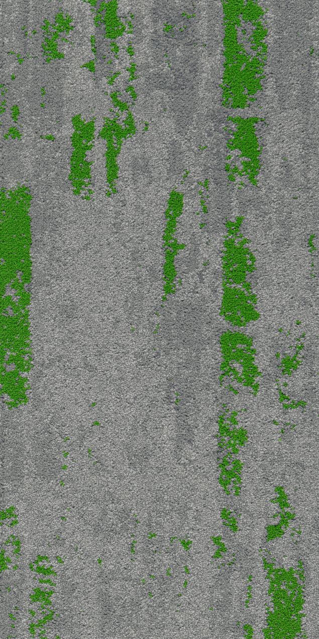 S00C1512-13 拂柳