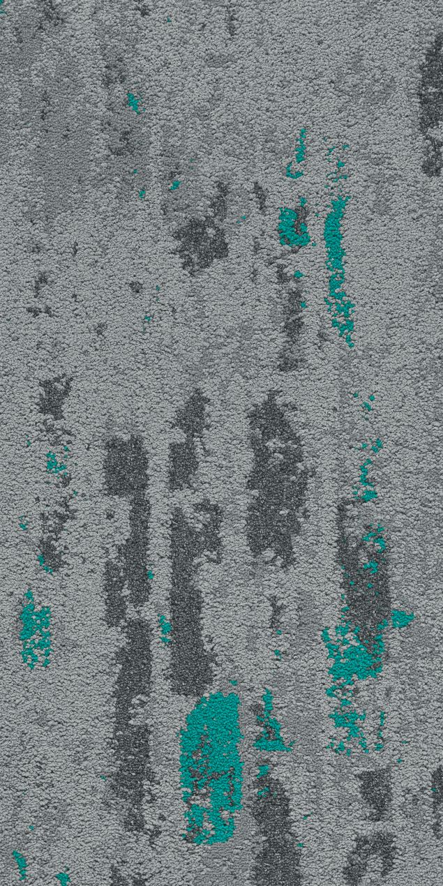 S00C1512-14 箬青