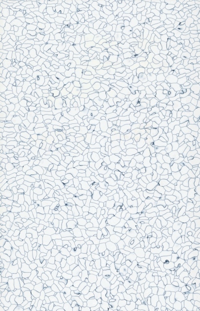 1013-8001N 韵白