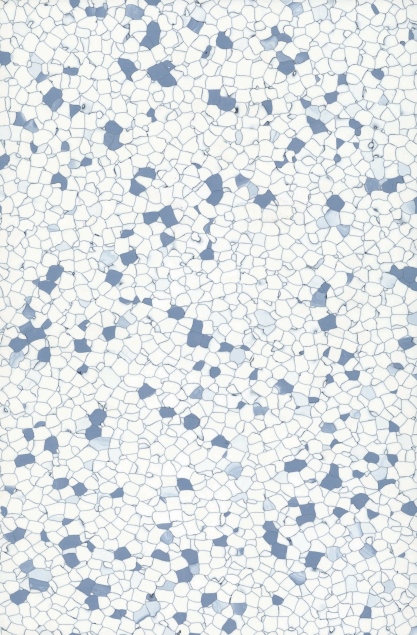 2013-6001N 蓝星