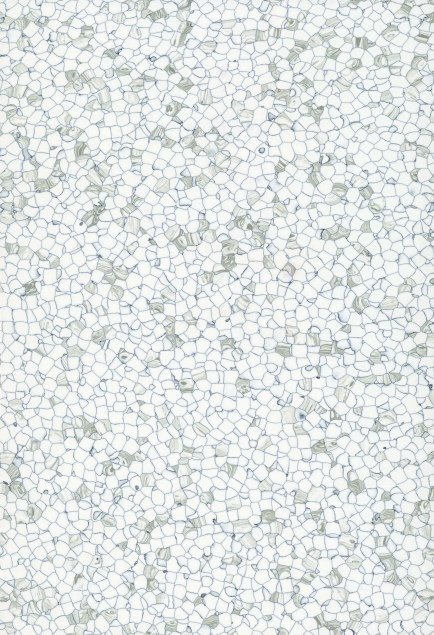 2013-8002N 繁星