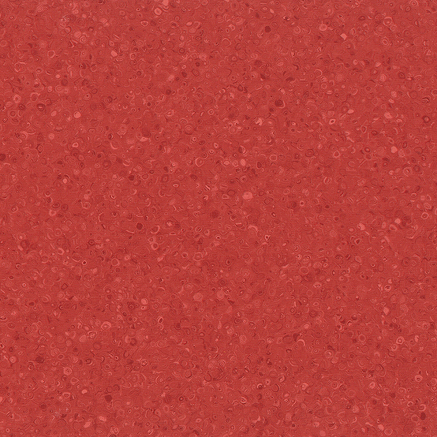 c005 