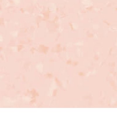 0222 樱花