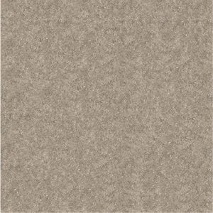 DTEN6051 Brown