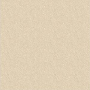 DTEN6053 Beige