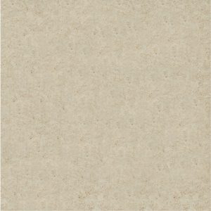 DTEN6081 Beige