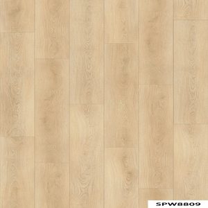 SPW8809 Brown