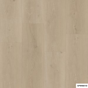 SPW8810 Brown