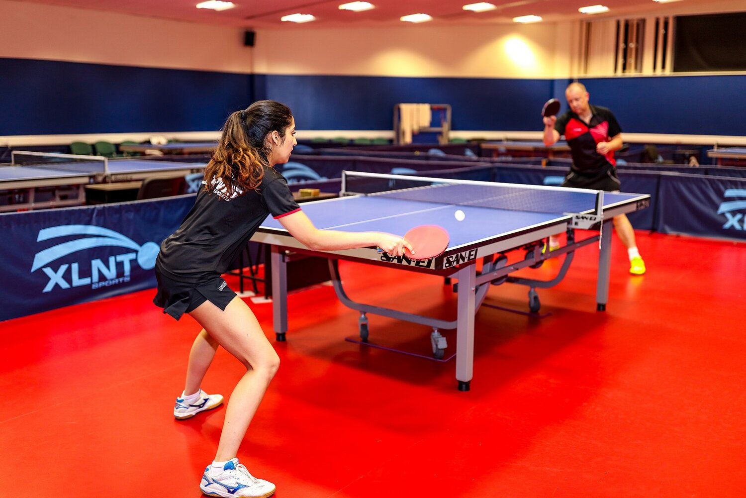 TARAFLEX TABLE TENNIS 6.2 系列