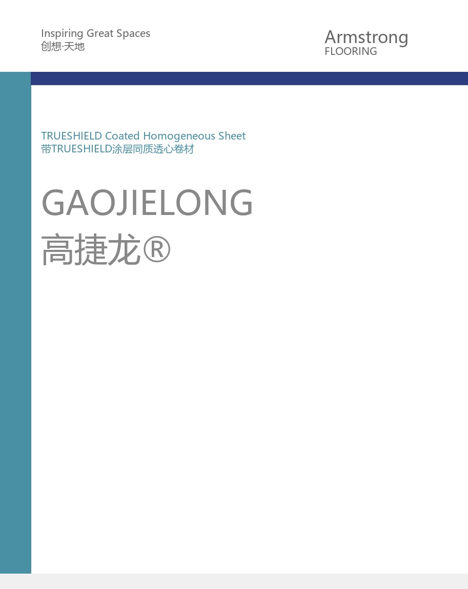 阿姆斯壮 高捷龙