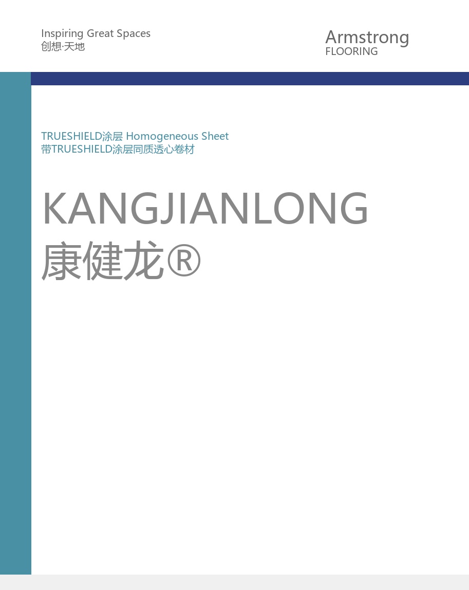 阿姆斯壮 康健龙